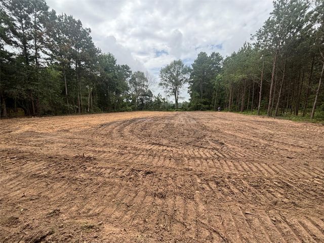 TBD County Road 3015, Dayton, TX 77535