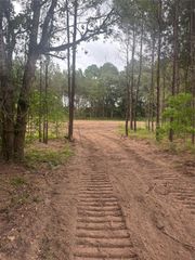 TBD County Road 3015, Dayton, TX 77535