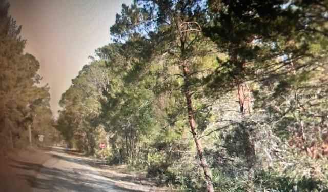 3248 GLEN SPRINGS AVENUE, Lake Placid, FL 33852