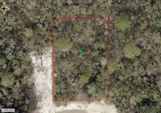 RIEGEL (PAPER) AVENUE, Orange City, FL 32763