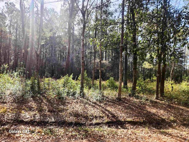 TBD Franklin St., Loris, SC 29569