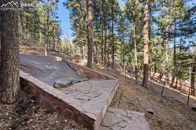 464 Evergreen Court, Woodland Park, CO 80863