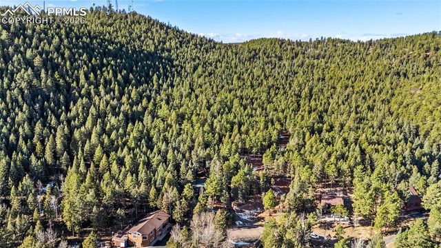 464 Evergreen Court, Woodland Park, CO 80863