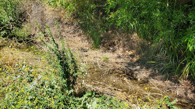 Ranch Club Rd, Lake Elizabeth, CA 93532