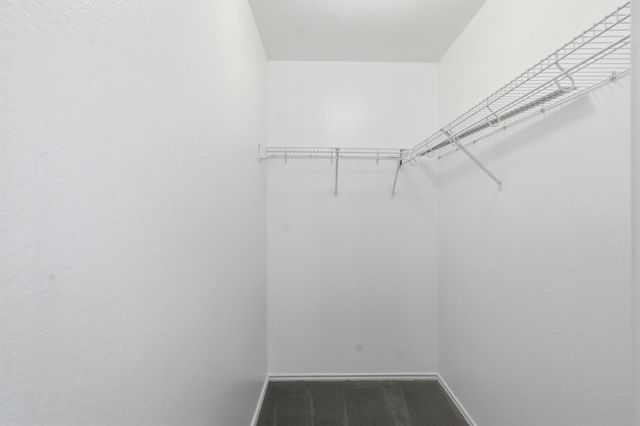 244 Sampson, Kyle, TX 78640