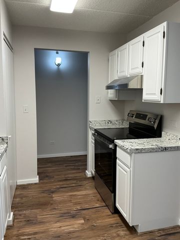 215 E Park Avenue 202, Libertyville, IL 60048
