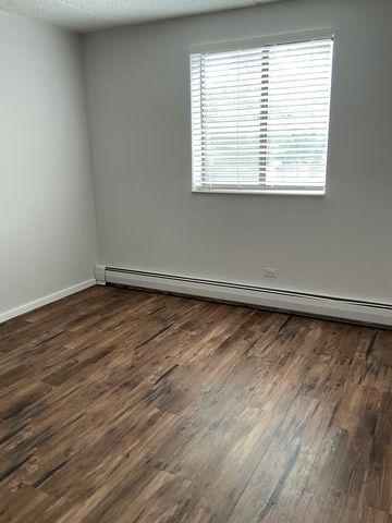 215 E Park Avenue 202, Libertyville, IL 60048