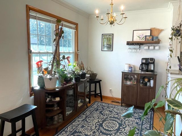 504 N Billy Bryan Street, Carbondale, IL 62901