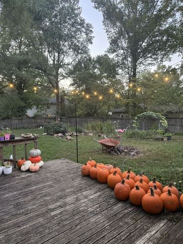504 N Billy Bryan Street, Carbondale, IL 62901