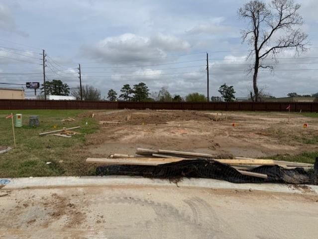 15670 Coneflower Hills Drive, Houston, TX 77090