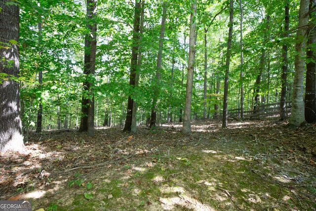 3525 Park Bluff Lane, Duluth, GA 30096