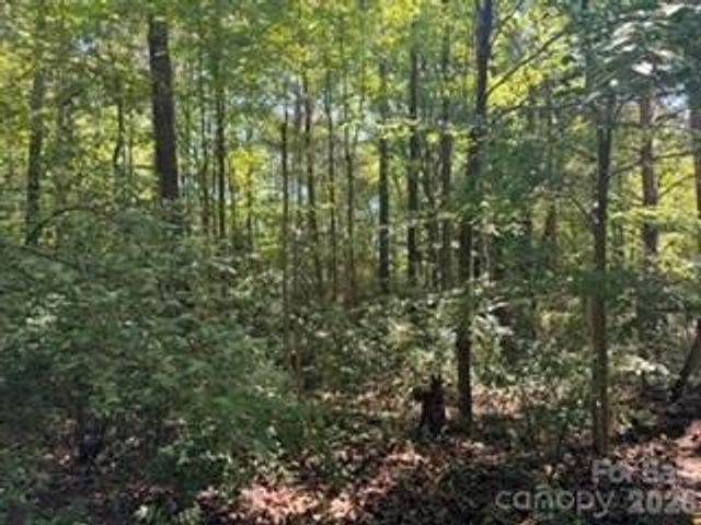 12538 Sam Furr Road, Huntersville, NC 28146