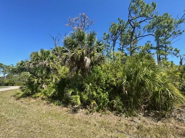 5102 HOPKINS AVENUE, Port Charlotte, FL 33981