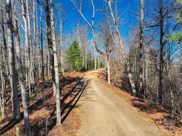 00000 High Peak Ridge 10, Green Mountain, NC 28740