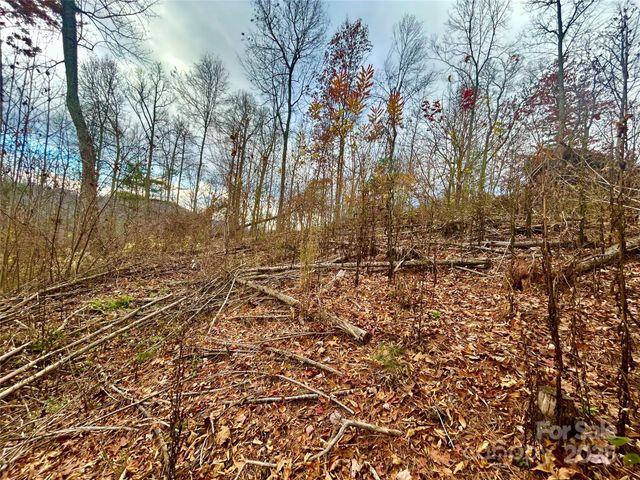 00000 High Peak Ridge 10, Green Mountain, NC 28740