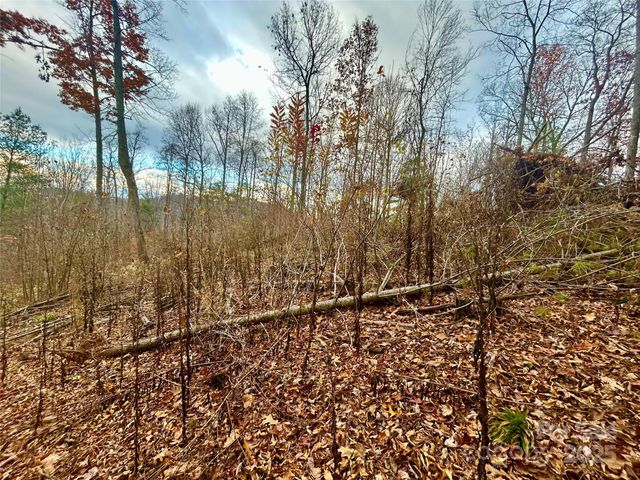 00000 High Peak Ridge 10, Green Mountain, NC 28740