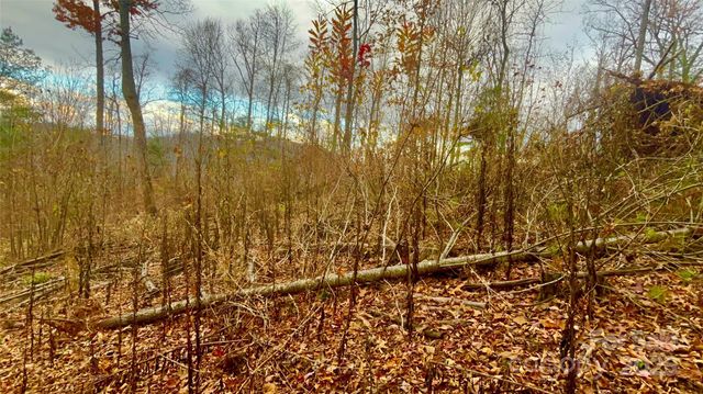 00000 High Peak Ridge 10, Green Mountain, NC 28740