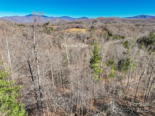 00000 High Peak Ridge 10, Green Mountain, NC 28740