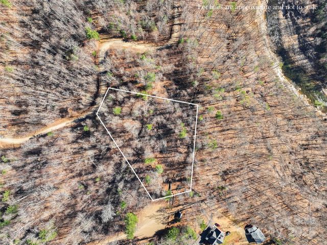 00000 High Peak Ridge 10, Green Mountain, NC 28740