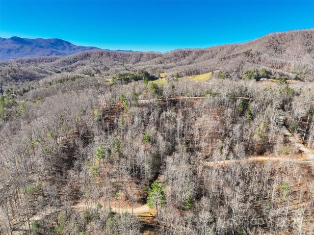 00000 High Peak Ridge 10, Green Mountain, NC 28740