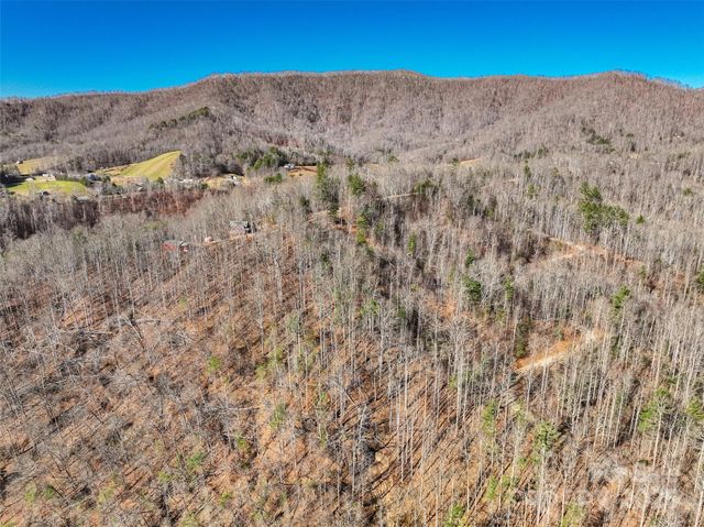 00000 High Peak Ridge 10, Green Mountain, NC 28740