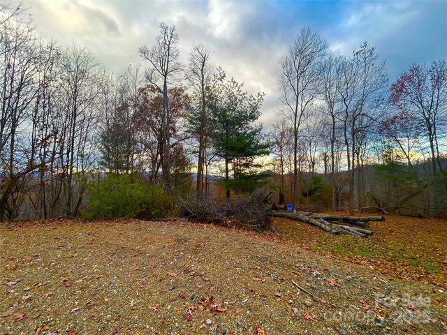 00000 High Peak Ridge 10, Green Mountain, NC 28740