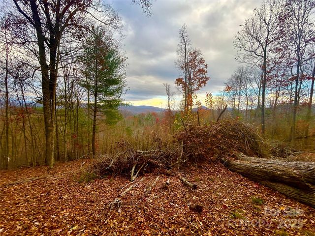 00000 High Peak Ridge 10, Green Mountain, NC 28740