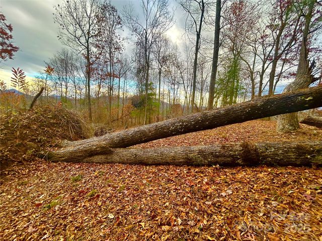 00000 High Peak Ridge 10, Green Mountain, NC 28740
