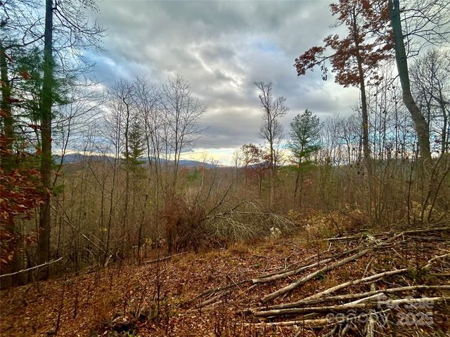 00000 High Peak Ridge 10, Green Mountain, NC 28740