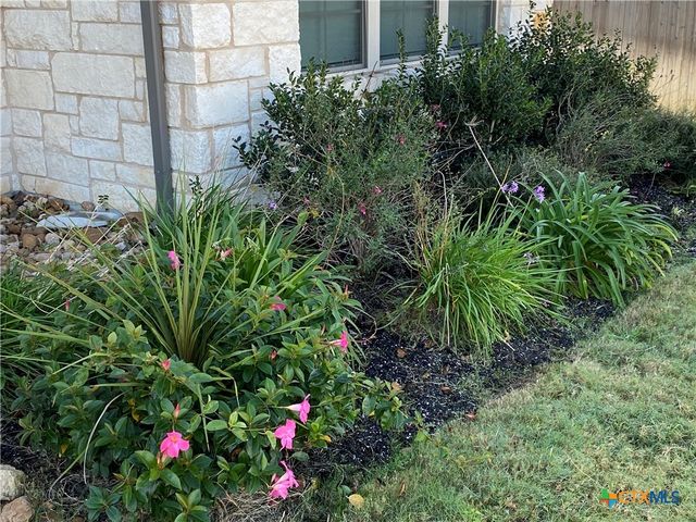 1145 Carriage Loop, New Braunfels, TX 78132