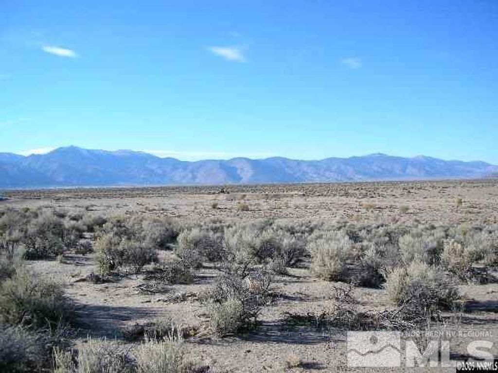 325 Ludwig, Smith, NV 89430