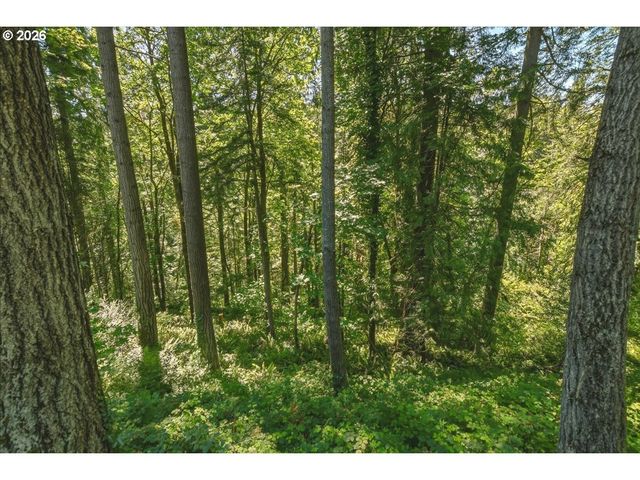 2425 ARCHWOOD Dr, Longview, WA 98632