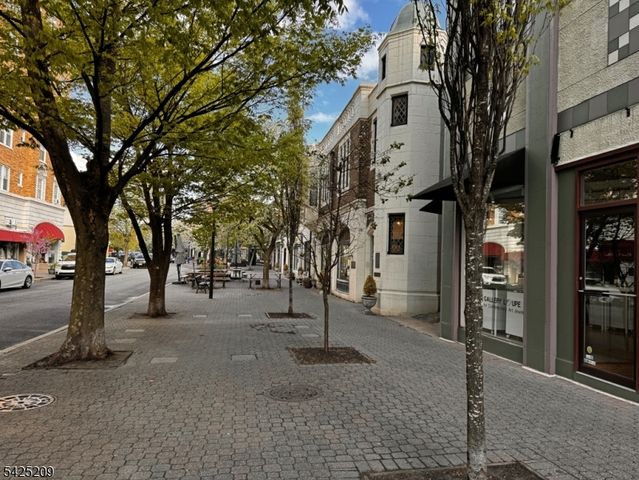 48 S Park St 507, Montclair Twp., NJ 07042