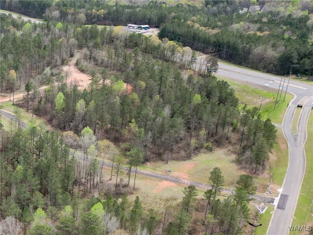Lot 12 Pine Ridge, Coker, AL 35452