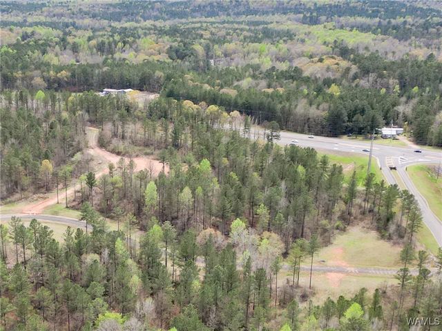 Lot 12 Pine Ridge, Coker, AL 35452