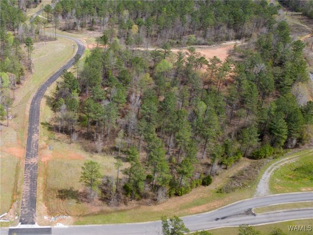 Lot 12 Pine Ridge, Coker, AL 35452