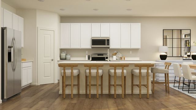 1865 Chandolin Lane, Elgin, IL 60124