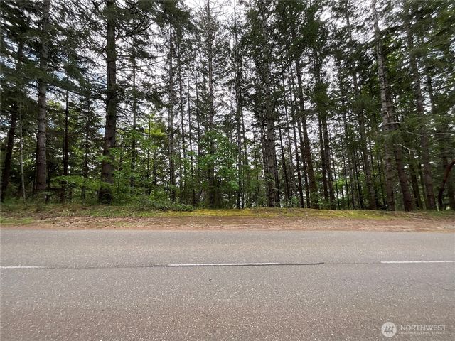 1 XX N Colony Surf Drive, Lilliwaup, WA 98555