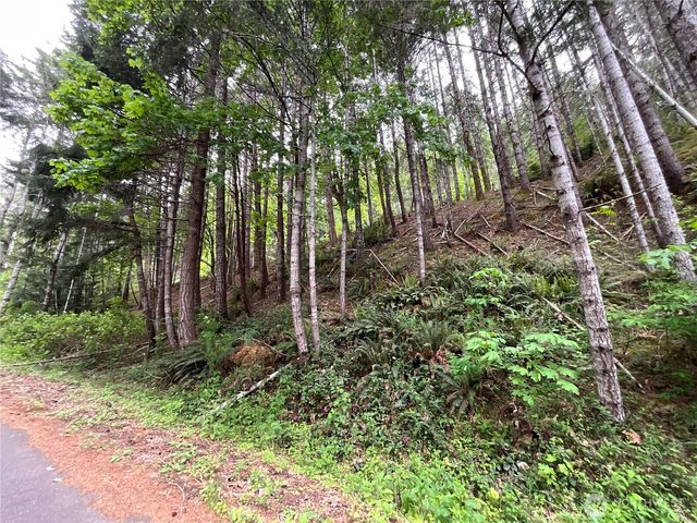 1 XX N Colony Surf Drive, Lilliwaup, WA 98555