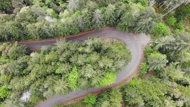 1 XX N Colony Surf Drive, Lilliwaup, WA 98555