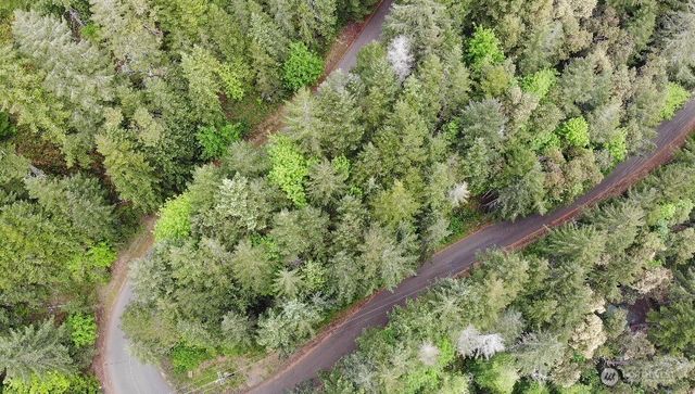1 XX N Colony Surf Drive, Lilliwaup, WA 98555