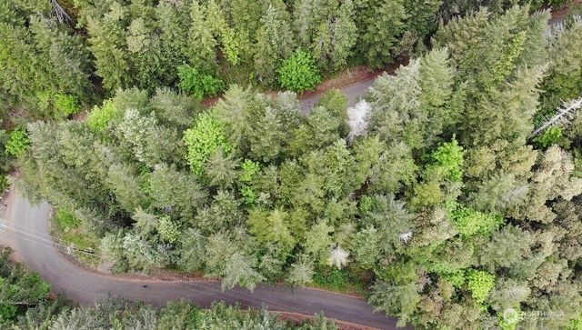 1 XX N Colony Surf Drive, Lilliwaup, WA 98555