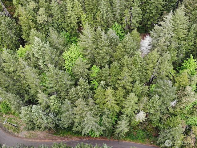 1 XX N Colony Surf Drive, Lilliwaup, WA 98555
