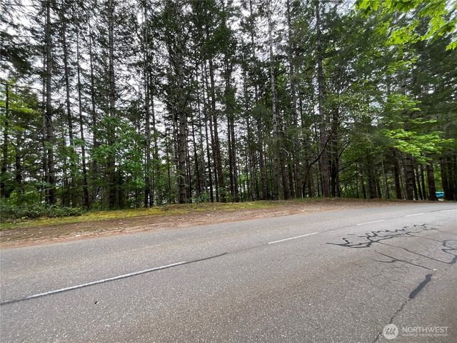 1 XX N Colony Surf Drive, Lilliwaup, WA 98555
