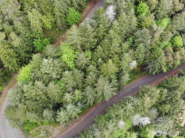 1 XX N Colony Surf Drive, Lilliwaup, WA 98555