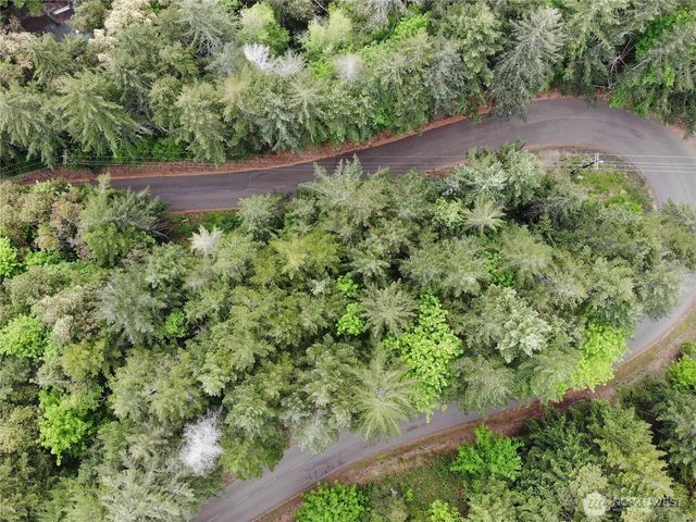 1 XX N Colony Surf Drive, Lilliwaup, WA 98555