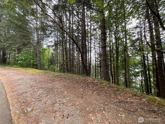 1 XX N Colony Surf Drive, Lilliwaup, WA 98555
