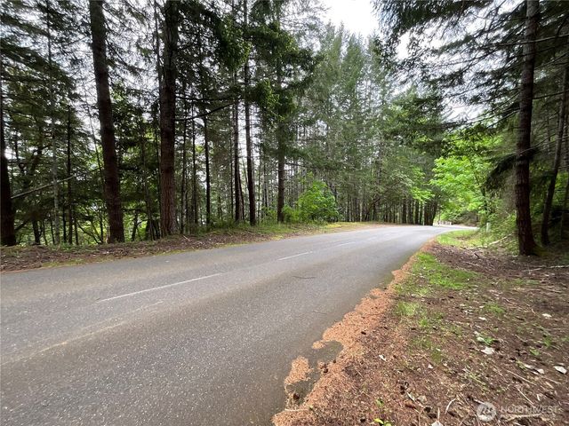 1 XX N Colony Surf Drive, Lilliwaup, WA 98555
