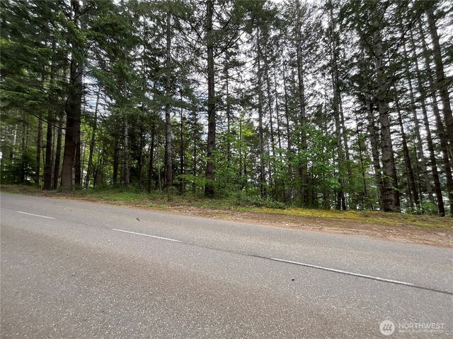 1 XX N Colony Surf Drive, Lilliwaup, WA 98555