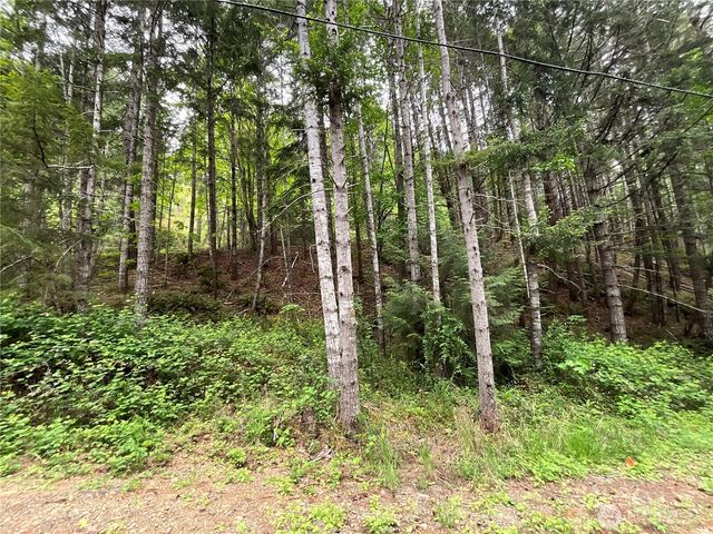 1 XX N Colony Surf Drive, Lilliwaup, WA 98555